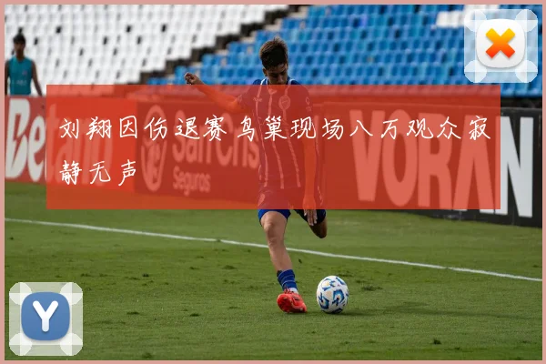 刘翔因伤退赛鸟巢现场八万观众寂静无声